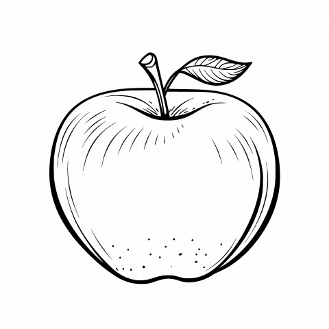 Free Apple Drawing Template: SVG and PNG with Transparent Background