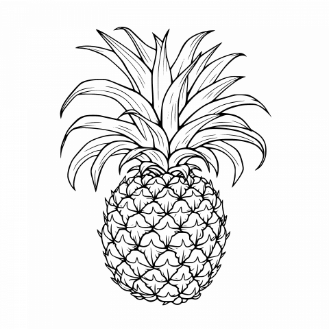 Explore the Versatility of Transparent PNG and SVG with this Pineapple Drawing Template