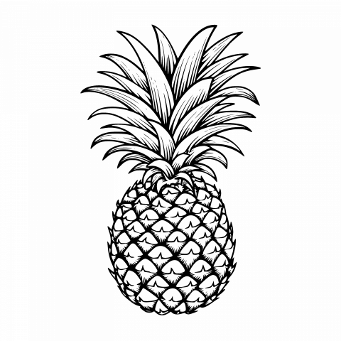 Unlock Creativity with Transparent PNG and SVG Pineapple Drawing Template